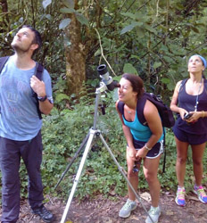 Observación de Aves en Boquete