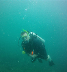 Excursión de Buceo en el Pacífico Desde la Ciudad de Panamá