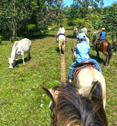 Paseo en Caballo por Boquete