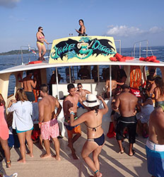 Paseo en Catamarán en Bahia Delfín