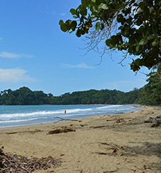 Transportación de Panamá a Costa Rica